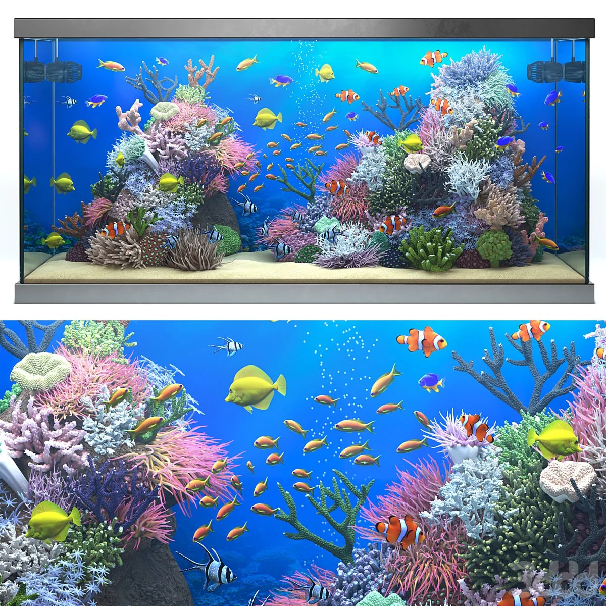Seawater aquarium